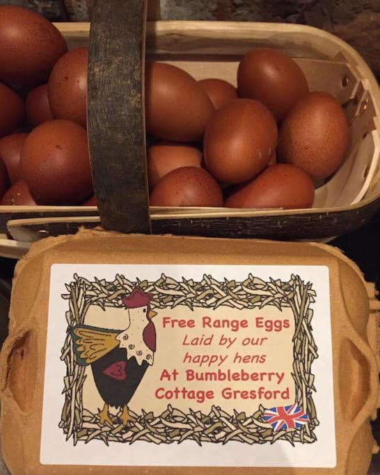 Bumbleberry Cottage Gresford 외부 사진