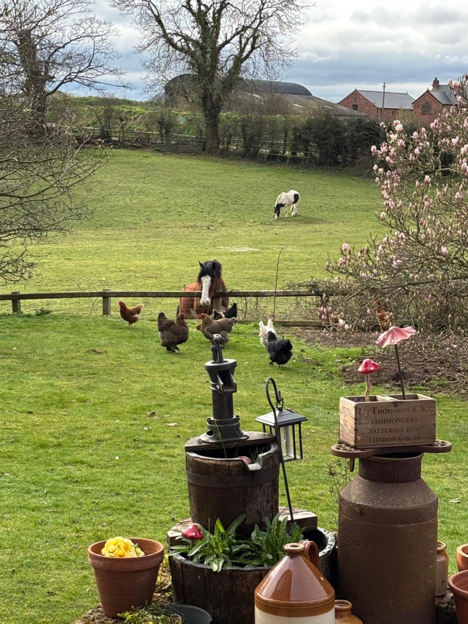 Bumbleberry Cottage Gresford 외부 사진